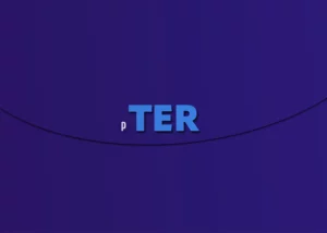 Portuguese Verb Ter - Portuguesepedia