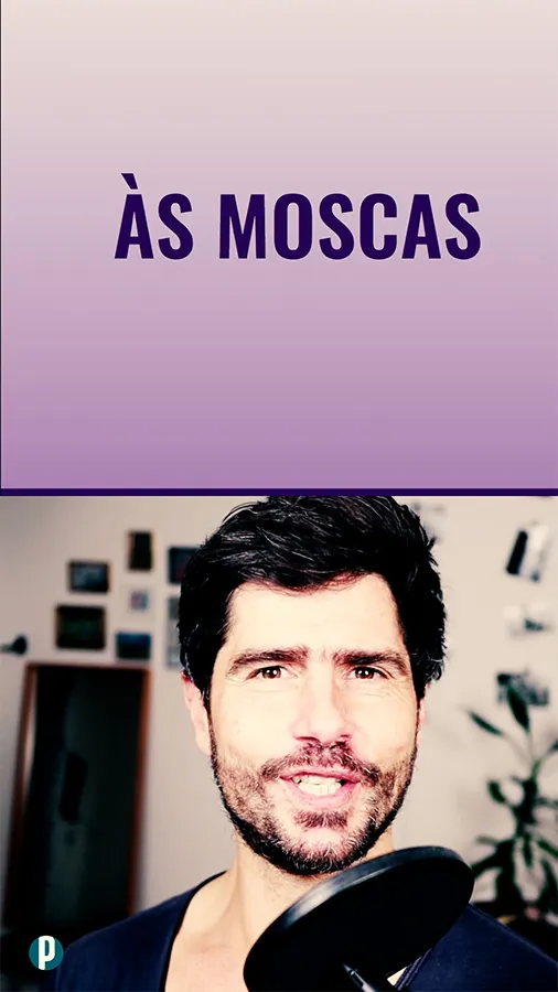 24d147 às moscas - Portuguesepedia