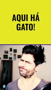Dip #200 Aqui há gato - Portuguesepedia